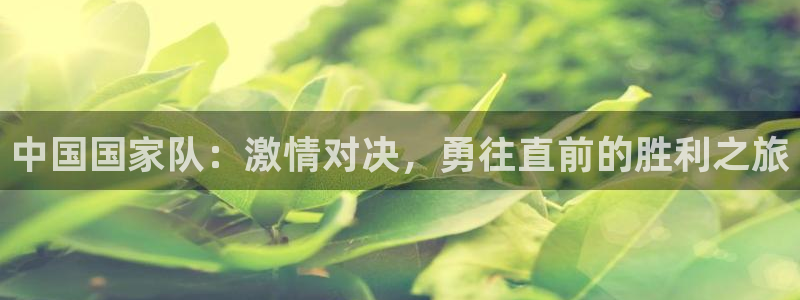 中国国家队：激情对决，勇往直前的胜利之旅
