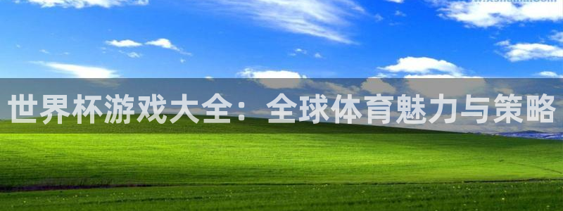 世界杯游戏大全：全球体育魅力与策略
