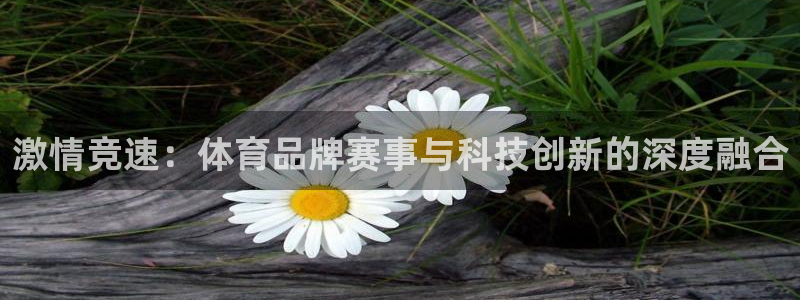 激情竞速：体育品牌赛事与科技创新的深度融合