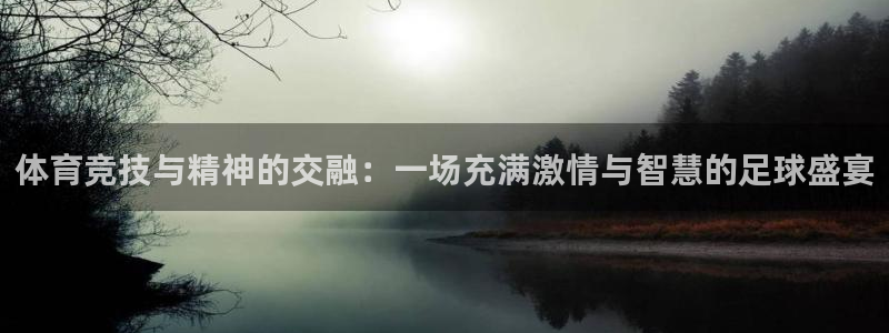体育竞技与精神的交融：一场充满激情与智慧的足球盛宴