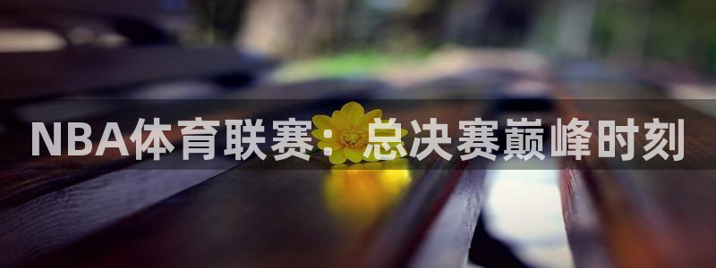 NBA体育联赛：总决赛巅峰时刻