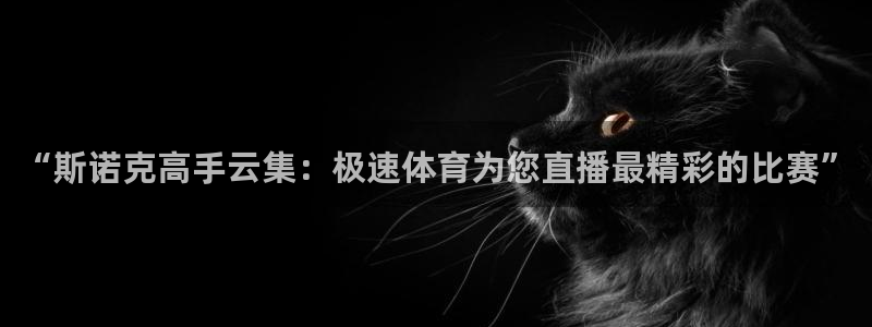 “斯诺克高手云集：极速体育为您直播最精彩的比赛”