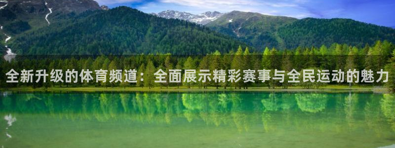 全新升级的体育频道：全面展示精彩赛事与全民运动的魅力