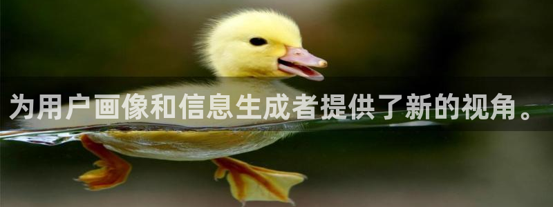 为用户画像和信息生成者提供了新的视角。