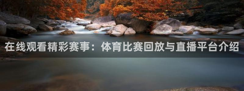在线观看精彩赛事：体育比赛回放与直播平台介绍