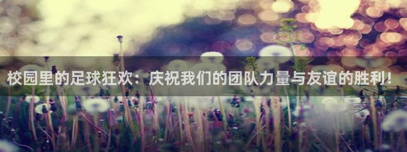 校园里的足球狂欢：庆祝我们的团队力量与友谊的胜利！