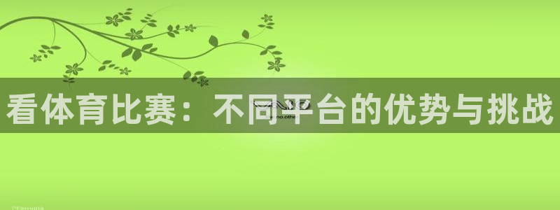 看体育比赛：不同平台的优势与挑战