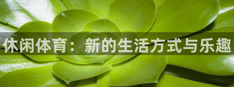 休闲体育：新的生活方式与乐趣