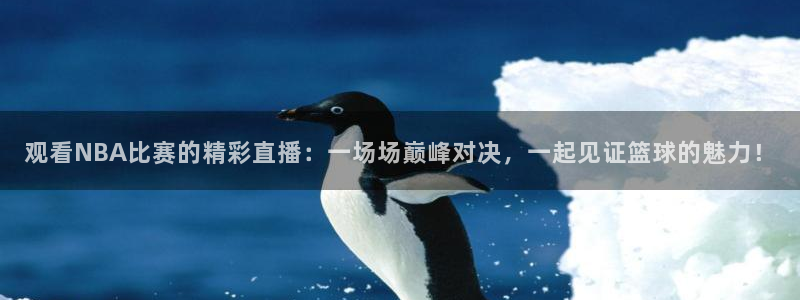 观看NBA比赛的精彩直播：一场场巅峰对决，一起见证篮球的魅力！