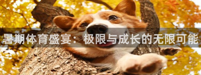 暑期体育盛宴：极限与成长的无限可能