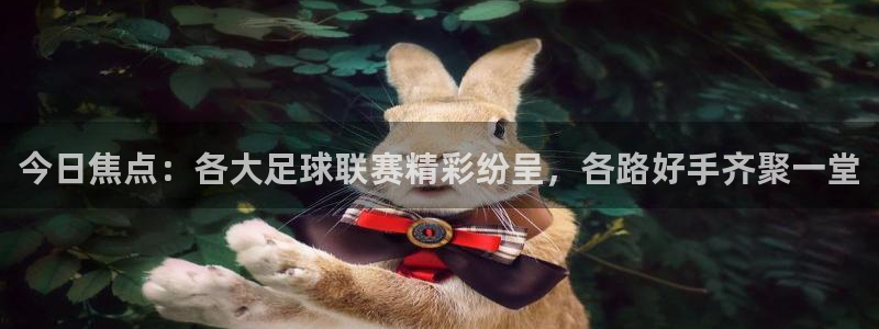 今日焦点：各大足球联赛精彩纷呈，各路好手齐聚一堂